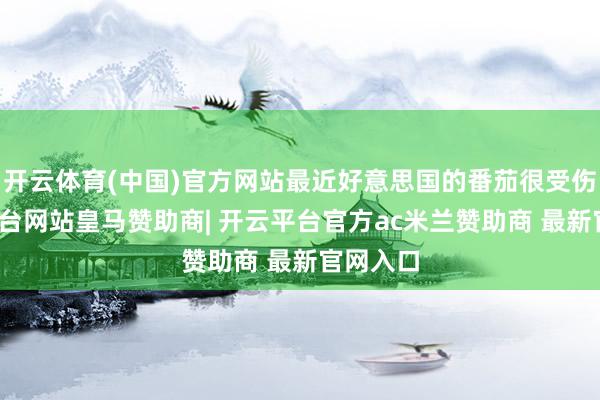 开云体育(中国)官方网站最近好意思国的番茄很受伤-开云平台网站皇马赞助商| 开云平台官方ac米兰赞助商 最新官网入口