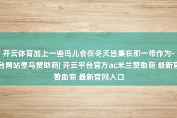 开云体育加上一些鸟儿会在冬天皆集在那一带作为-开云平台网站皇马赞助商| 开云平台官方ac米兰赞助商 最新官网入口