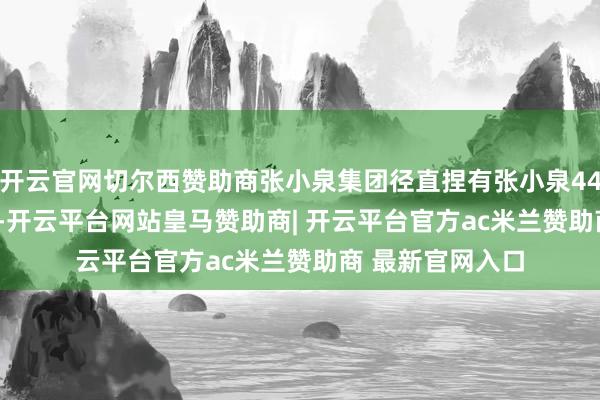 开云官网切尔西赞助商张小泉集团径直捏有张小泉44043709股股份-开云平台网站皇马赞助商| 开云平台官方ac米兰赞助商 最新官网入口